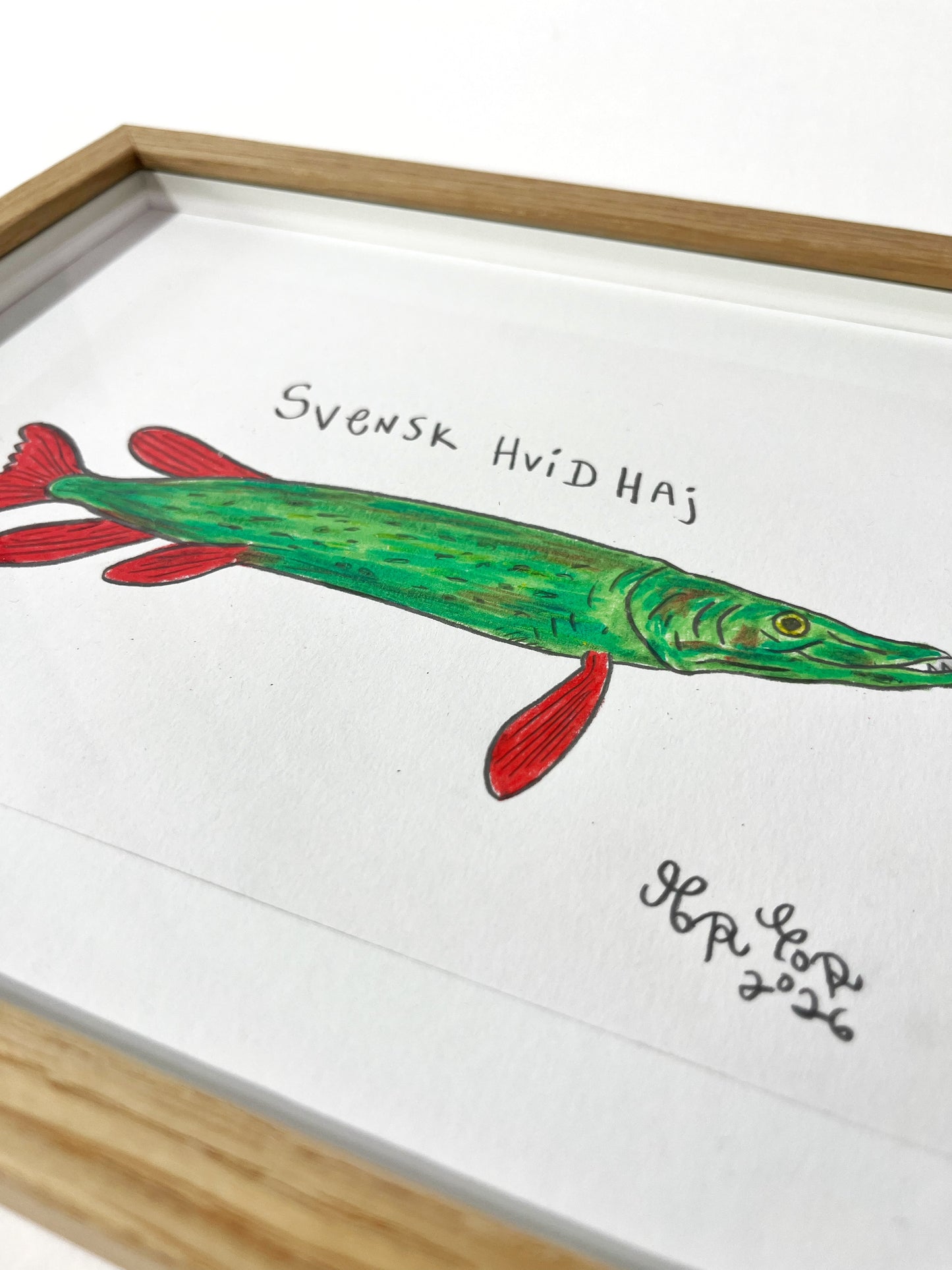 Svensk hvidhaj - 23x29 cm