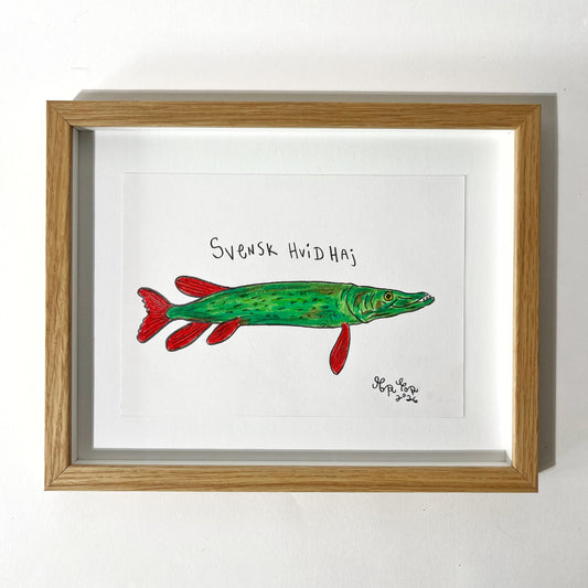 Svensk hvidhaj - 23x29 cm