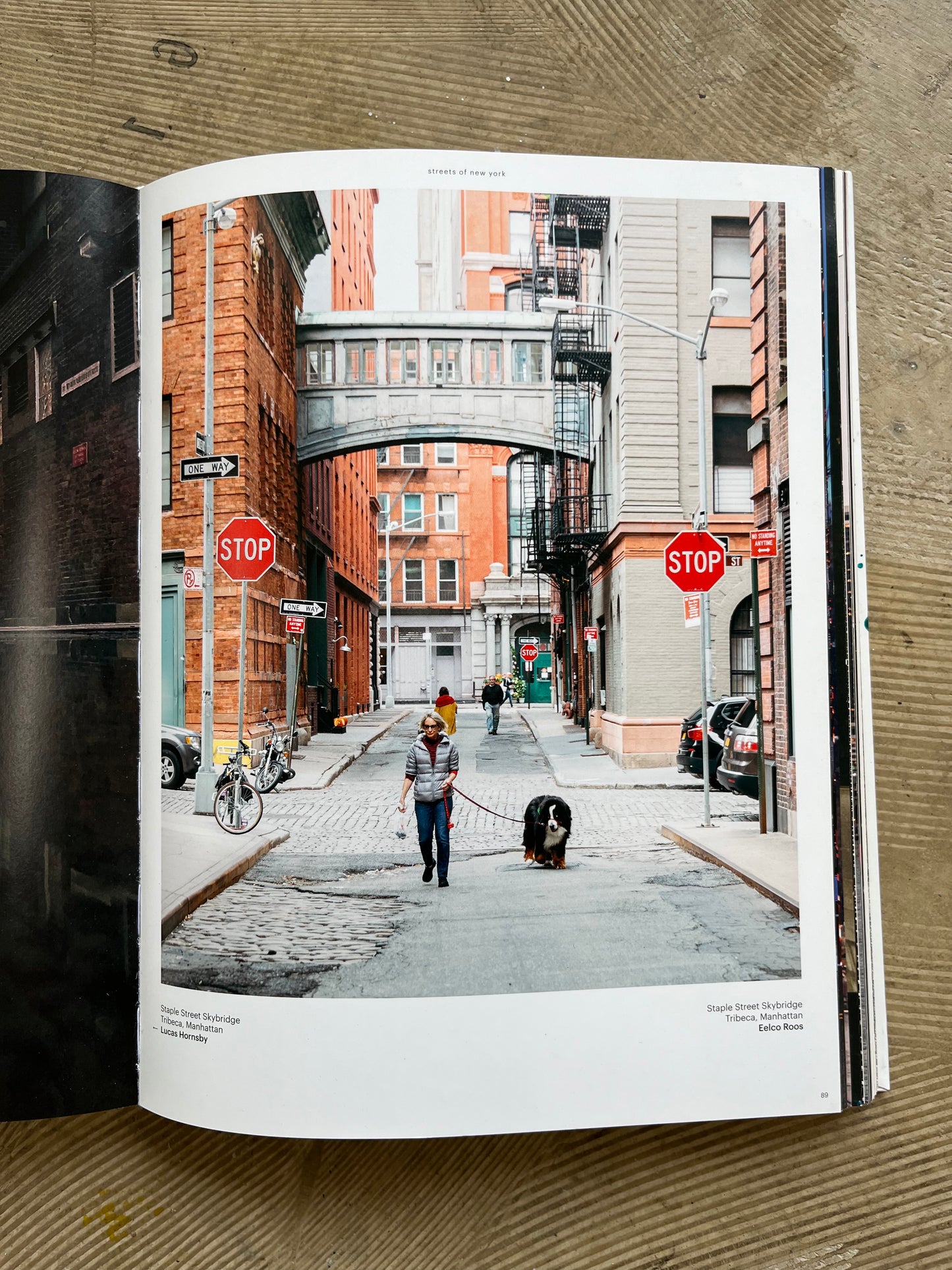 Tribeca dog walk - 73x53 cm