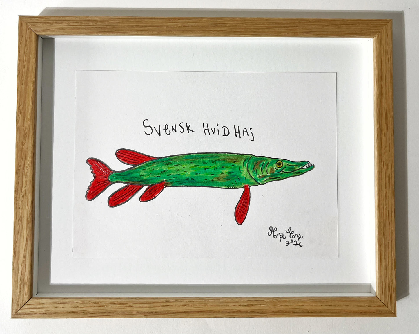 Svensk hvidhaj - 23x29 cm