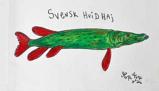Svensk hvidhaj - 23x29 cm