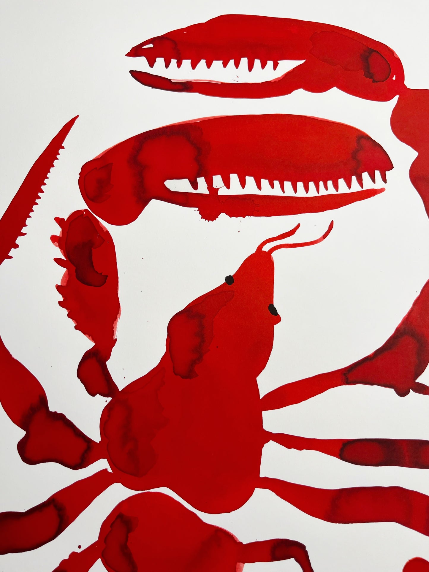 Sendt ud i hele Danmark 🇩🇰 Lummer AP - 70x50 cm 🦞