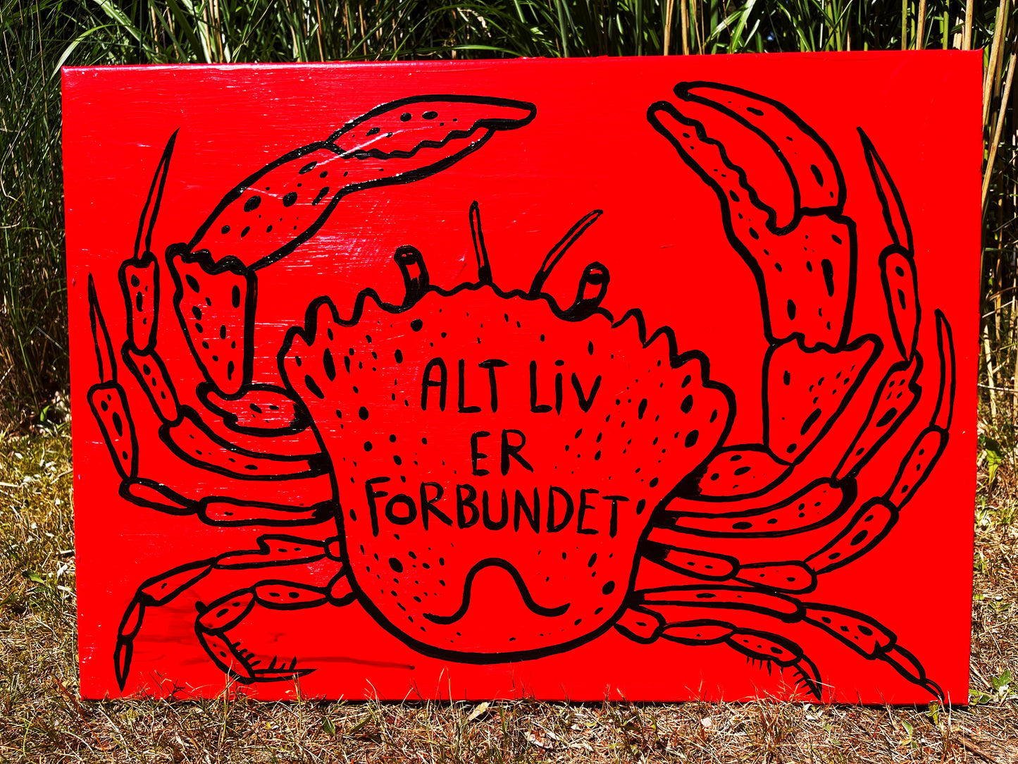 Alt liv er forbundet - 50x70 cm 🦀