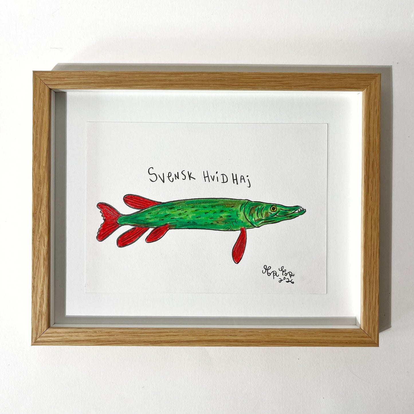Svensk hvidhaj - 23x29 cm
