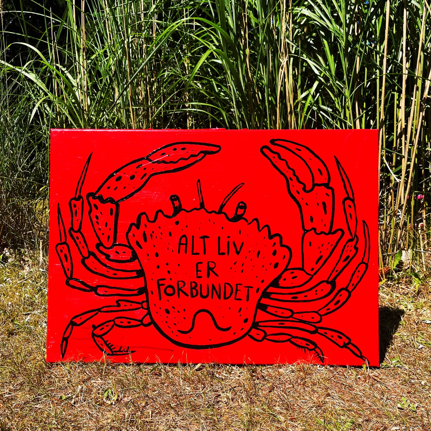 Alt liv er forbundet - 50x70 cm 🦀