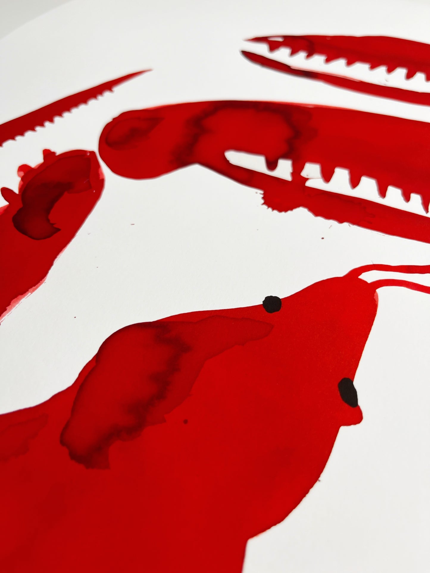 Sendt ud i hele Danmark 🇩🇰 Lummer AP - 70x50 cm 🦞