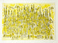 Duomo di Milano - 23x29 cm